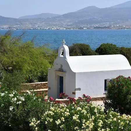 Elsa Villa