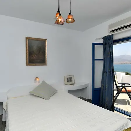 Elsa Villa *